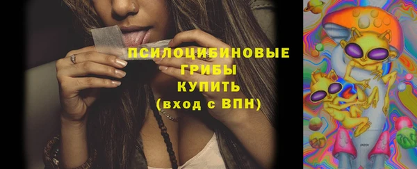 а пвп мука Гусиноозёрск