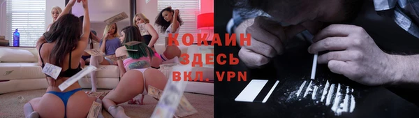 mdpv Горняк